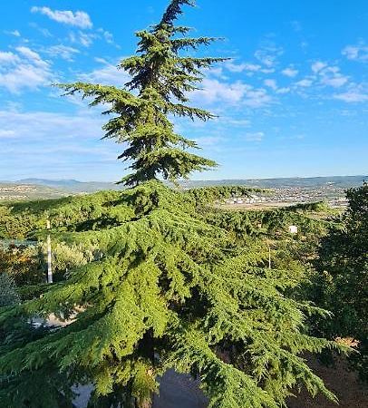 Apartment Sunny View Анкаран Екстериор снимка