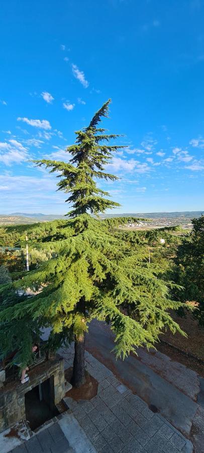 Apartment Sunny View Анкаран Екстериор снимка